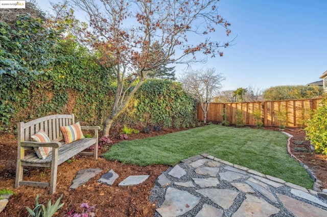 view of yard with a patio