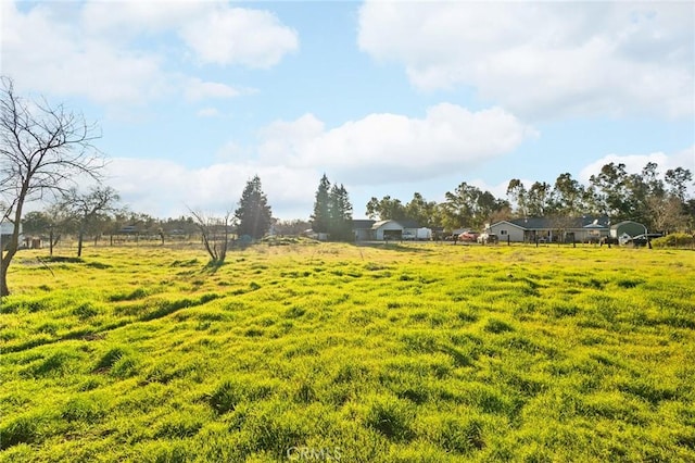 view of yard featuring a rural view