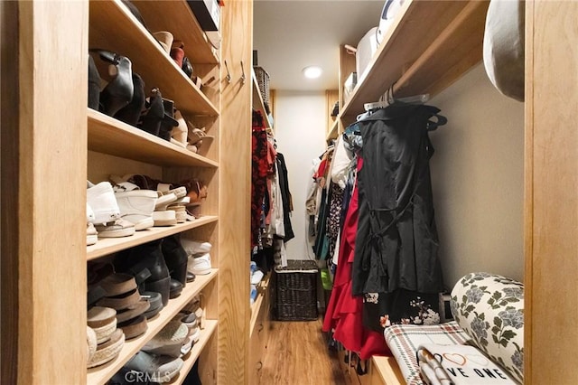 spacious closet with wood-type flooring