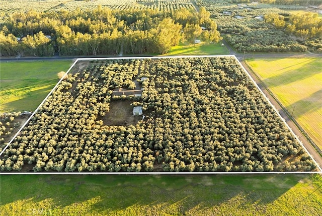 bird's eye view featuring a rural view