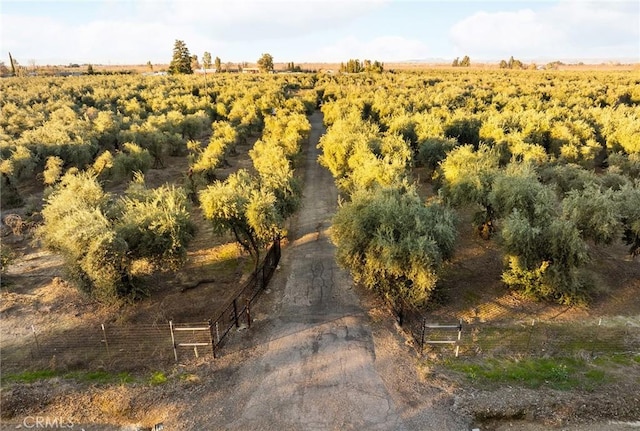 aerial view with a rural view