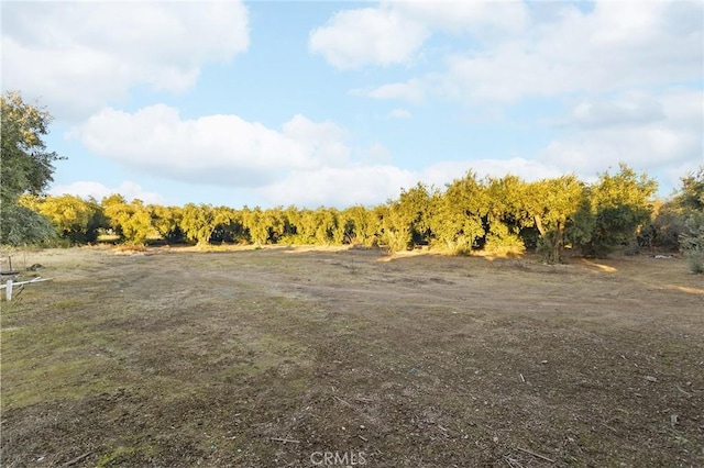 view of yard featuring a rural view