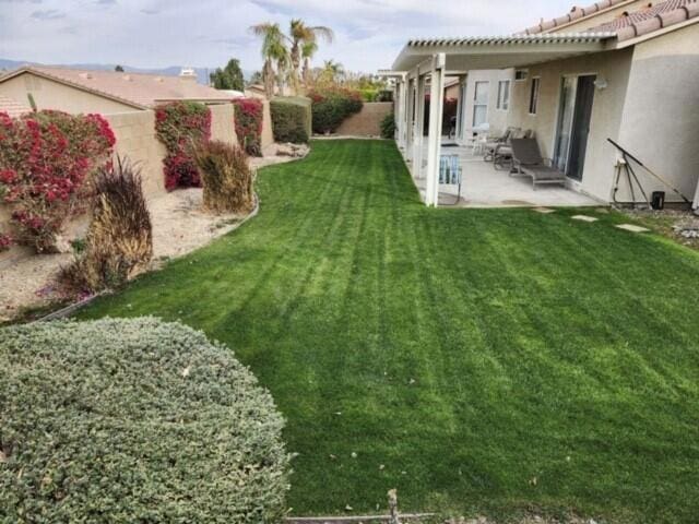 view of yard with a patio