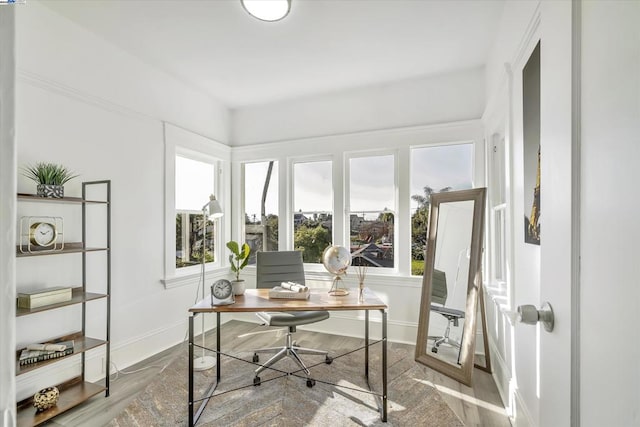 office space featuring hardwood / wood-style floors