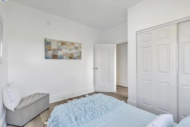 bedroom with hardwood / wood-style flooring and a closet