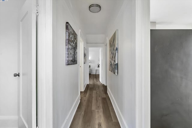 corridor featuring wood-type flooring