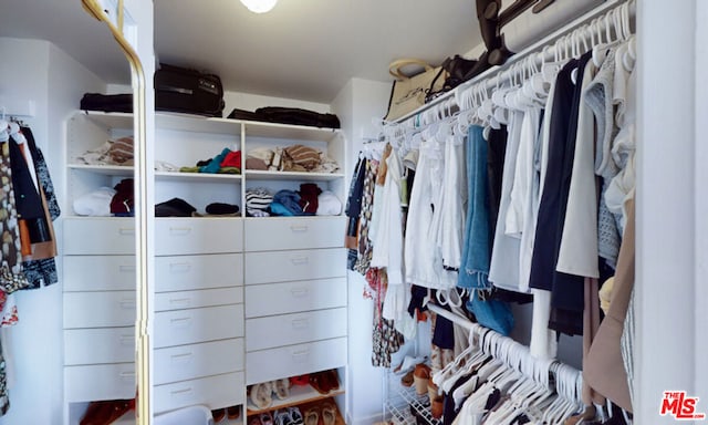 view of walk in closet