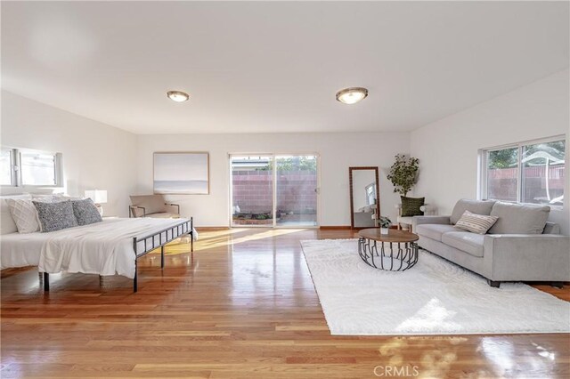 living room featuring light hardwood / wood-style floors