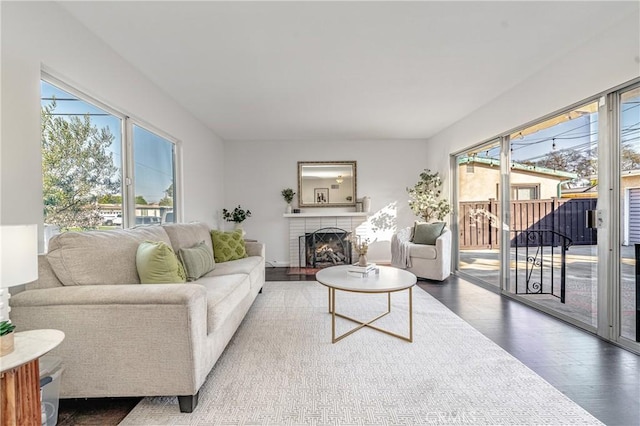 living room featuring a fireplace and wood finished floors