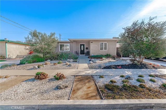 ranch-style home featuring stucco siding