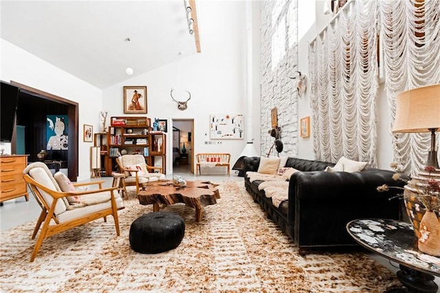 living room with vaulted ceiling and rail lighting