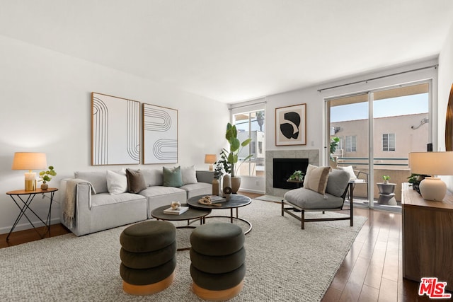 living room featuring a fireplace and dark hardwood / wood-style flooring