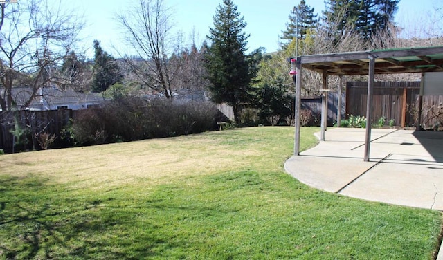 view of yard featuring a patio area