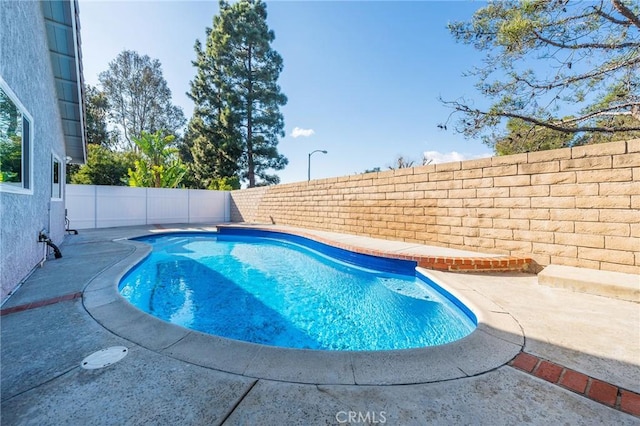 view of swimming pool featuring a patio area