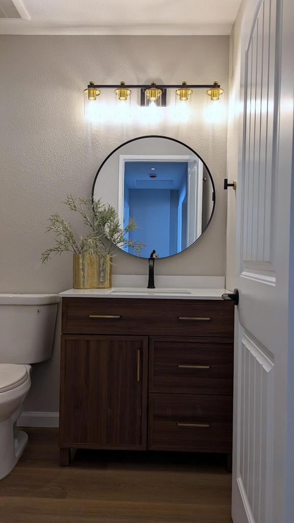 bathroom featuring vanity, toilet, and wood-type flooring