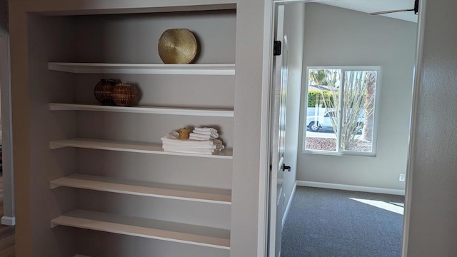 interior details with carpet flooring