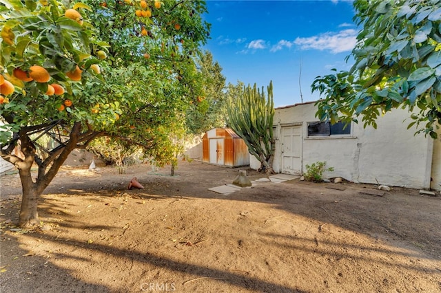 view of yard featuring a storage unit