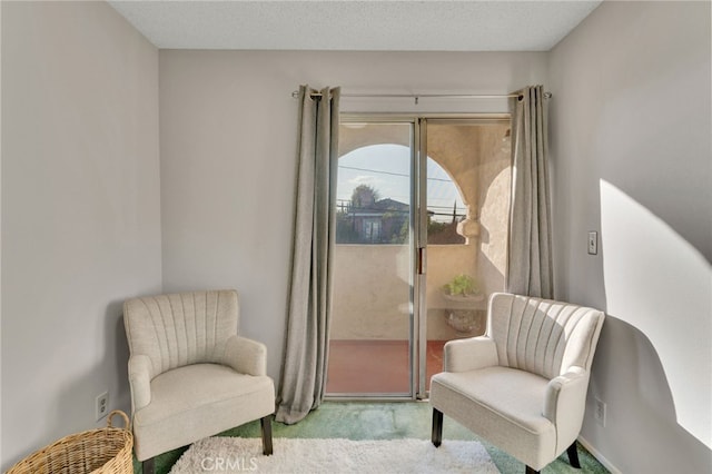 sitting room with carpet flooring