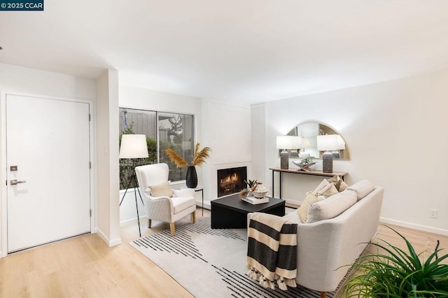 living room featuring light wood-type flooring