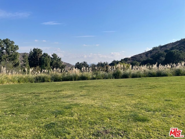 view of yard featuring a mountain view and a rural view