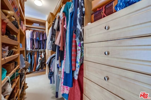 view of walk in closet