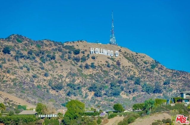 view of mountain feature