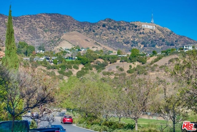 view of mountain feature