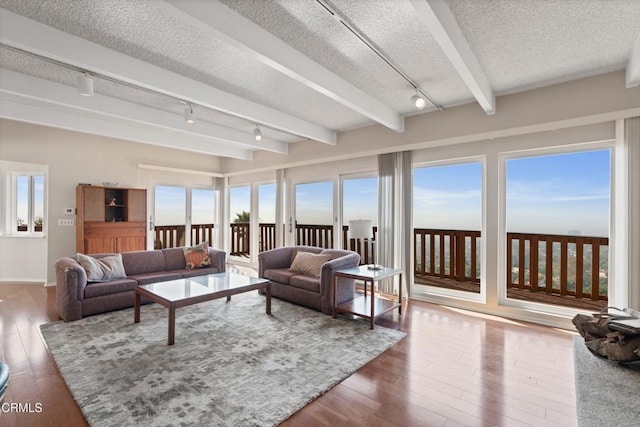 living area featuring a wealth of natural light, beamed ceiling, a textured ceiling, and hardwood / wood-style floors