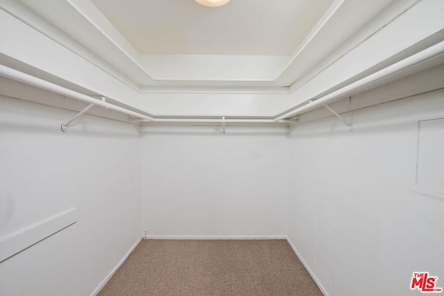 walk in closet with carpet