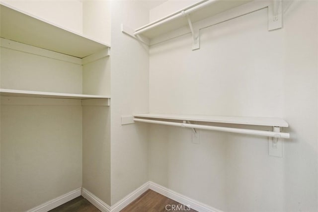 walk in closet featuring dark hardwood / wood-style floors