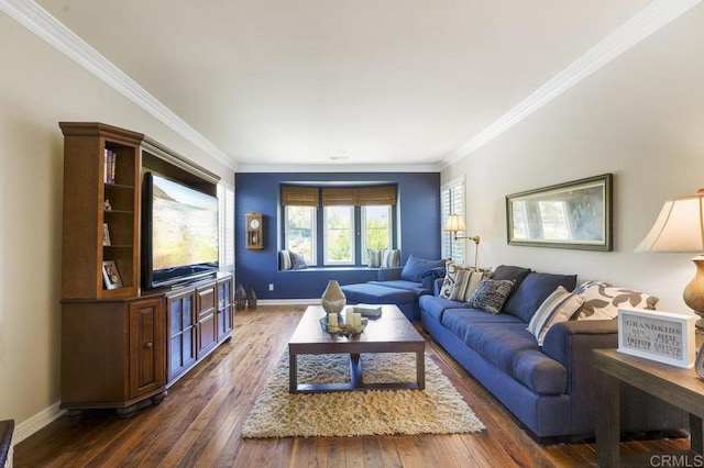 living room with ornamental molding, hardwood / wood-style floors, and baseboards