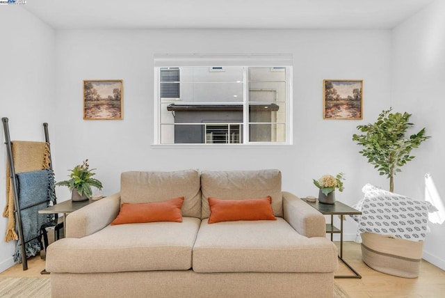 living room with wood-type flooring