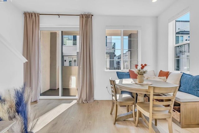 dining room with a wealth of natural light and wood-type flooring