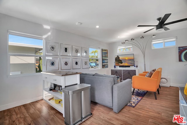 living room with hardwood / wood-style flooring, ceiling fan, and a healthy amount of sunlight