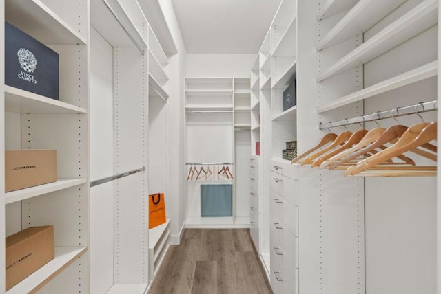 walk in closet featuring wood-type flooring