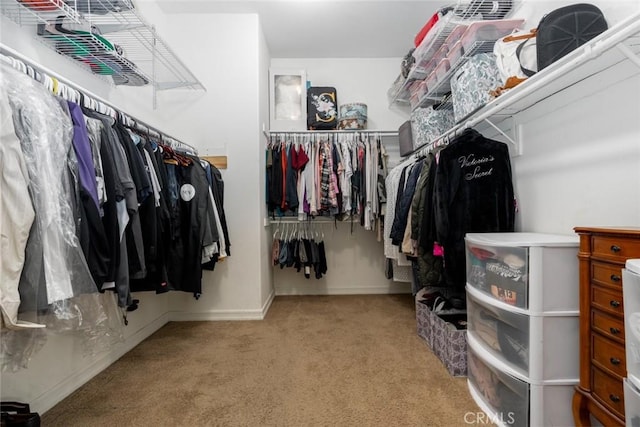 spacious closet with light colored carpet