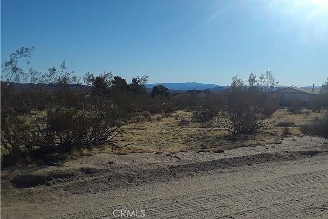 Listing photo 3 for 345 Deer Trl, Yucca Valley CA 92284