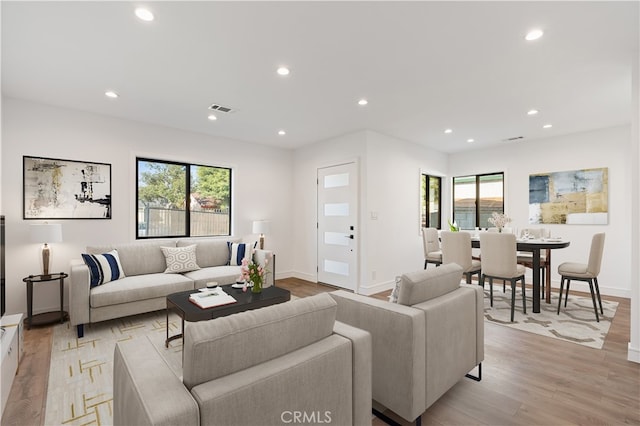 living room with a healthy amount of sunlight and light hardwood / wood-style floors