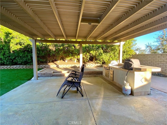 view of patio featuring area for grilling and grilling area