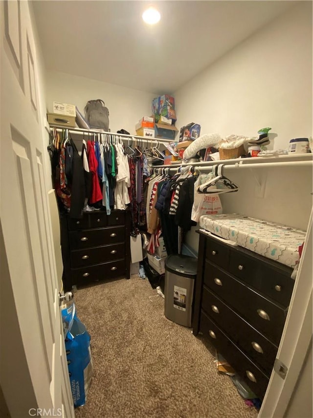 spacious closet featuring carpet flooring