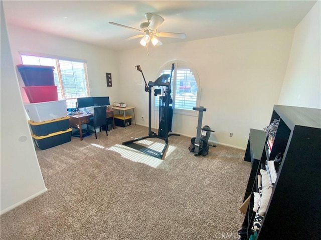 workout area featuring carpet flooring and ceiling fan