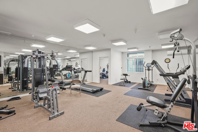 workout area with carpet flooring