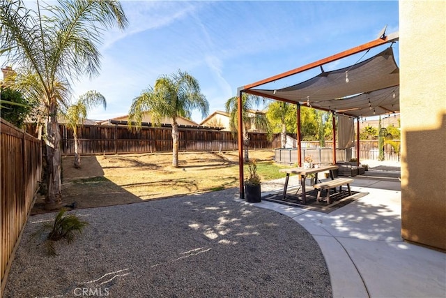 view of yard featuring a patio area