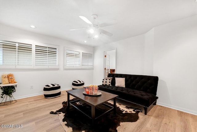 living room featuring ceiling fan and light hardwood / wood-style flooring