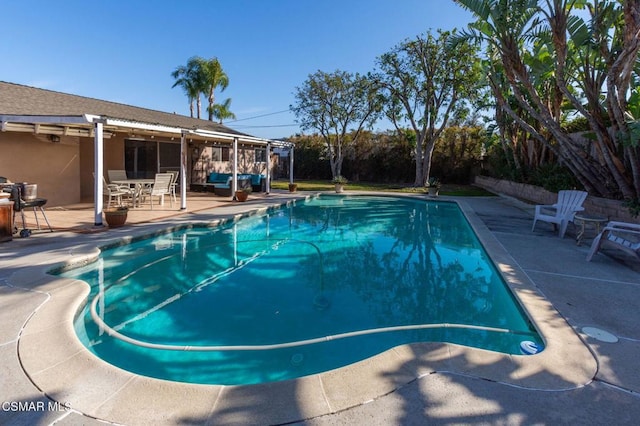 view of pool featuring a patio