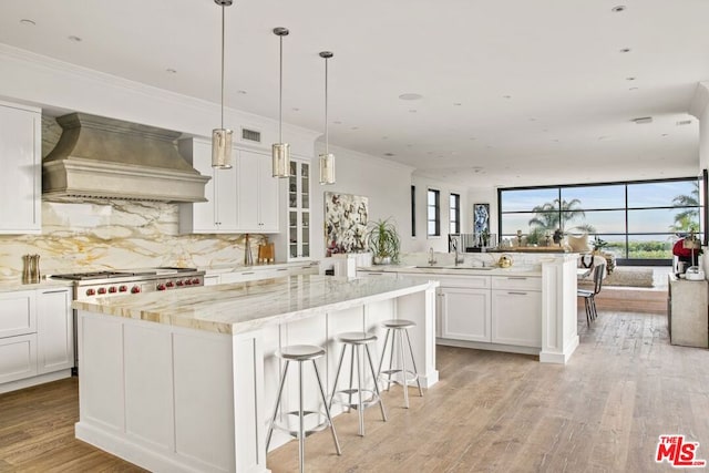 kitchen with light hardwood / wood-style flooring, custom range hood, light stone countertops, decorative backsplash, and white cabinets