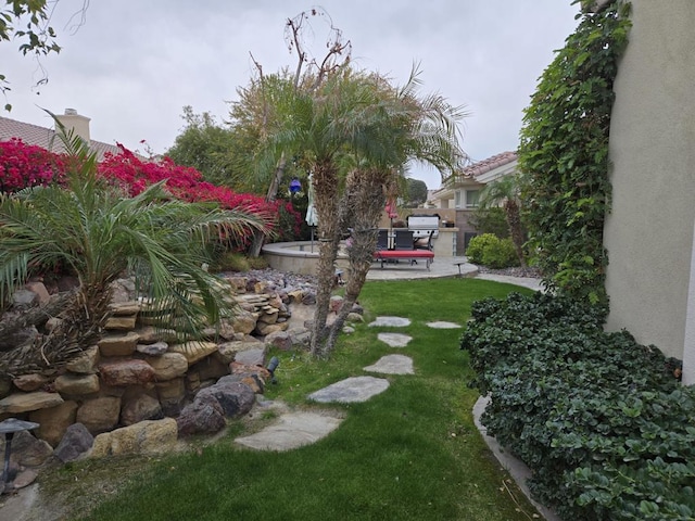 view of yard with a patio