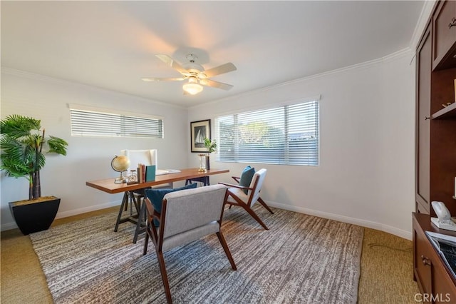 carpeted dining room featuring ceiling fan and ornamental molding