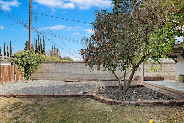 view of yard with a patio area