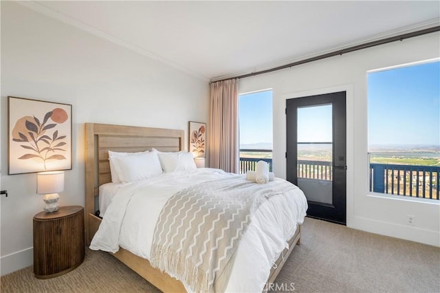 bedroom featuring crown molding, access to exterior, and carpet